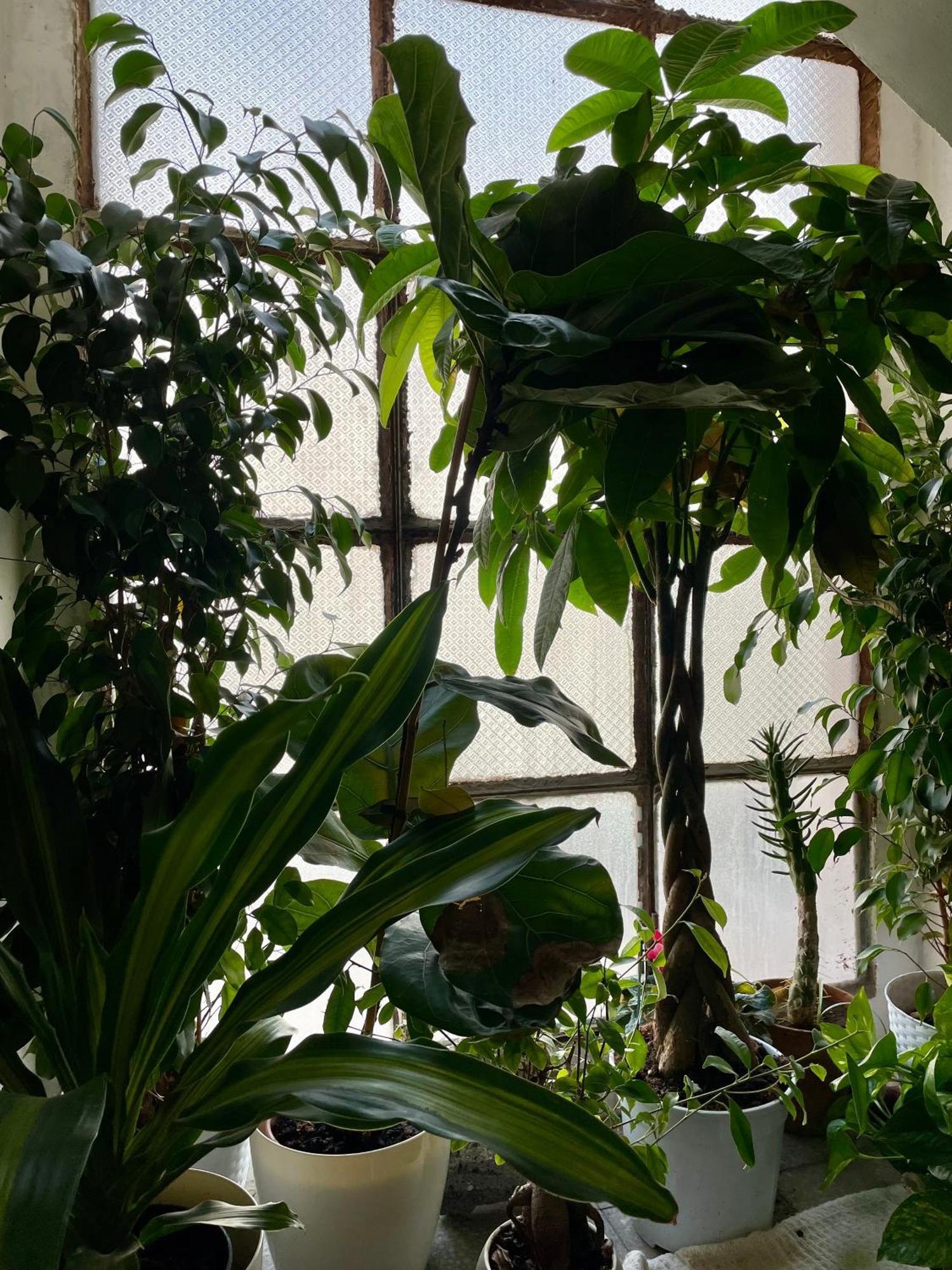 Lorenzo'S House Catania City Centre - Comfortable Large Apartment With 2 Bedrooms And 2 Baths, Close To Trains, Metro And Bus Station Экстерьер фото
