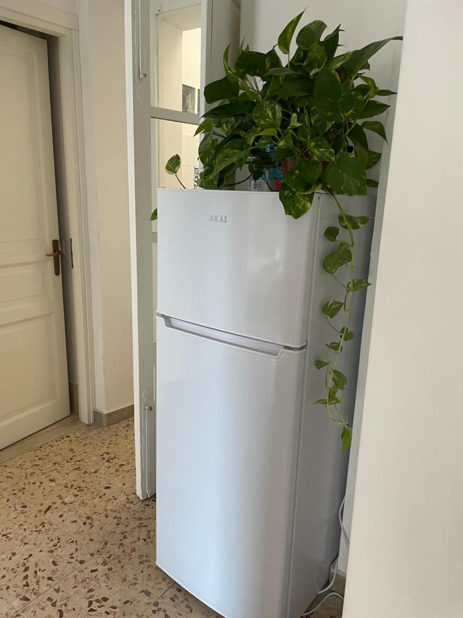 Lorenzo'S House Catania City Centre - Comfortable Large Apartment With 2 Bedrooms And 2 Baths, Close To Trains, Metro And Bus Station Экстерьер фото